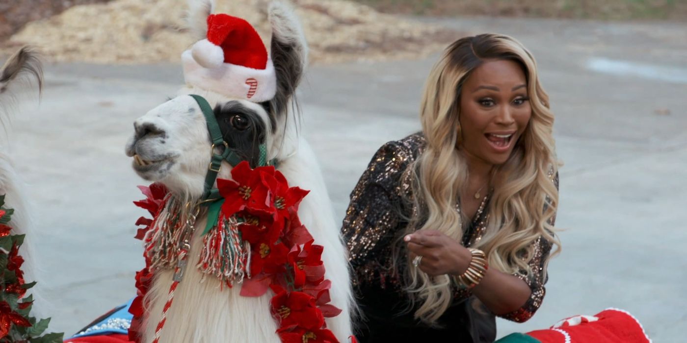 Cynthia Bailey poses with Christmas llamas on 'The Real Housewives of Atlanta'.