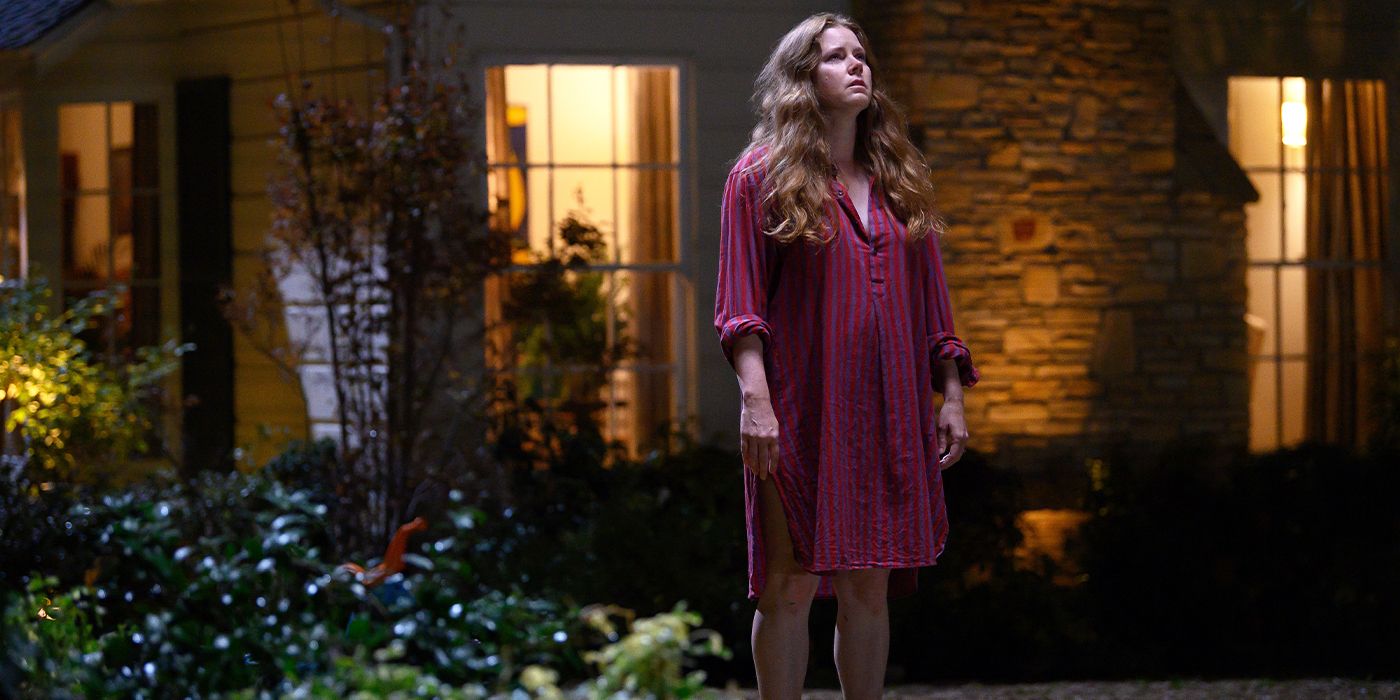 Mother (Amy Adams) standing outside a house at night in a nightgown looking up at the sky in Nightbitch