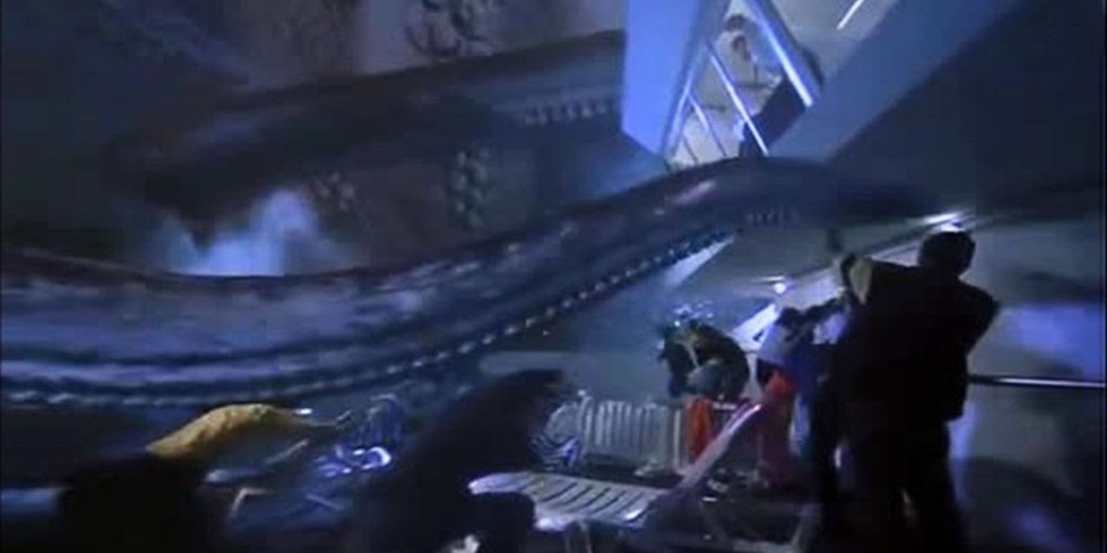octopus 2000