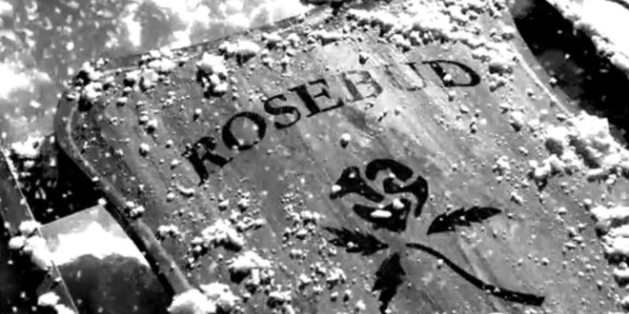 A closeup shot of the Rosebud sled in Citizen Kane.