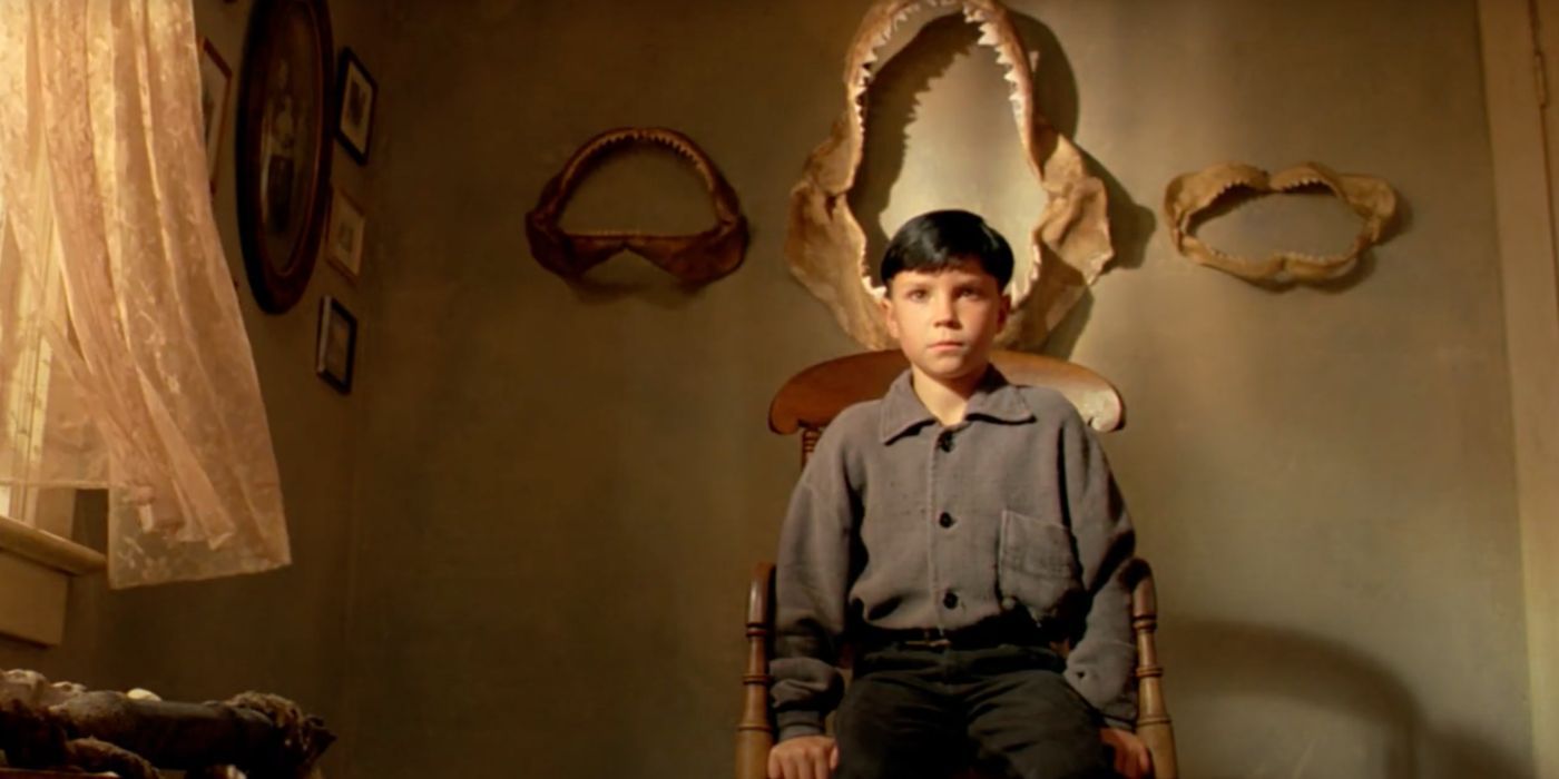Seth (Jeremy Cooper) is a young boy who experiences death and horror in The Reflecting Skin.