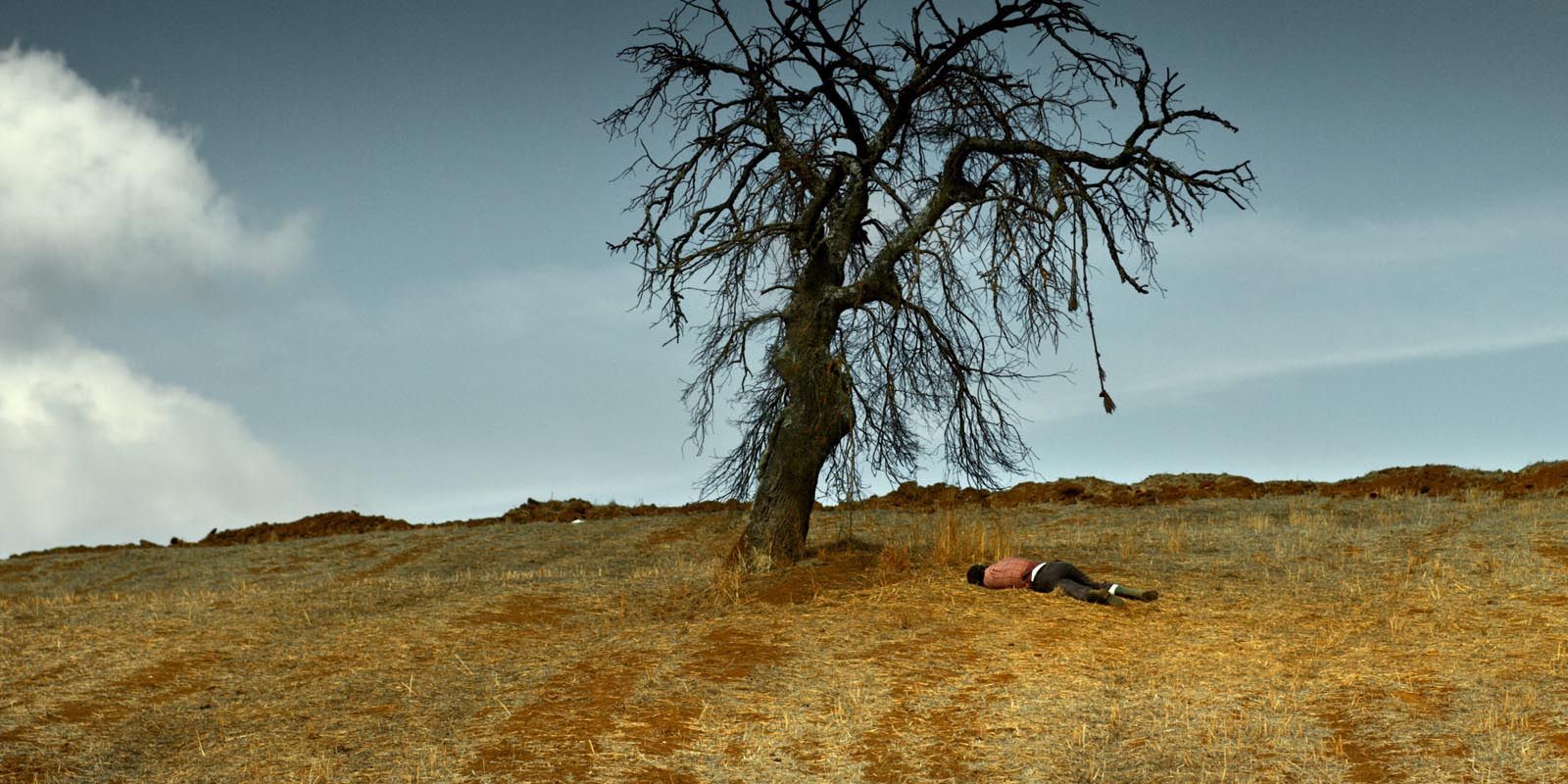 Someone lying under a dry tree in &lsquo;The Wild Pear Tree&rsquo;
