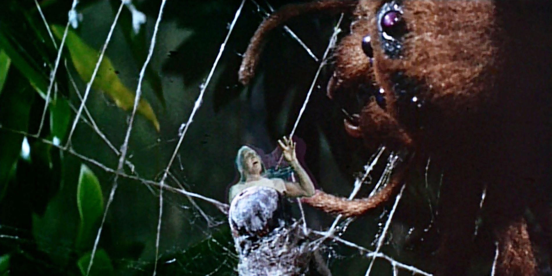 The Fly - 1958 - spider scene