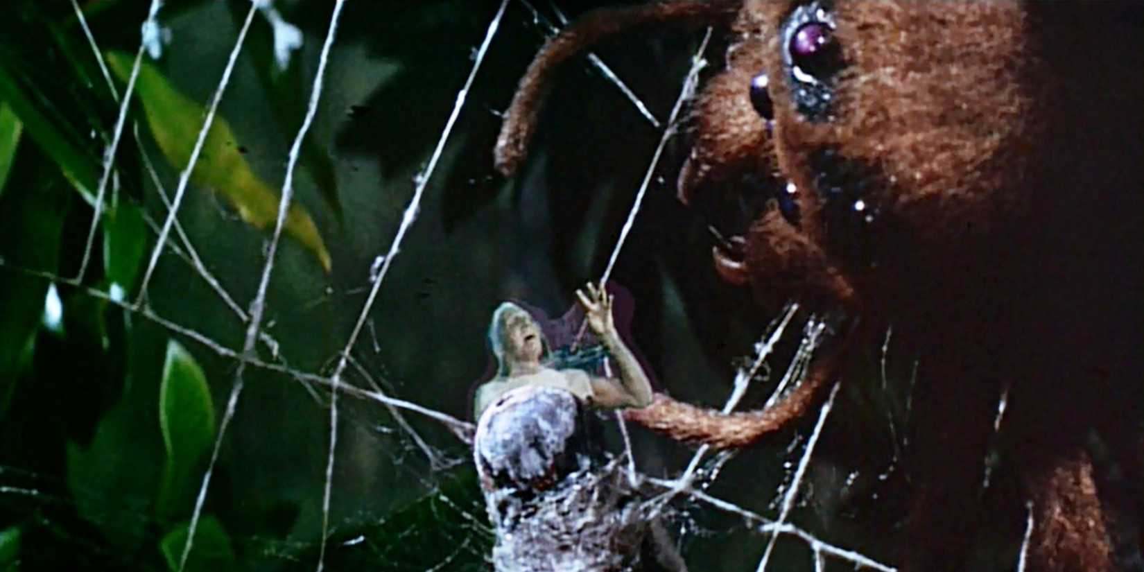 A giant spider crawls toward a small half-human, half-fly, in The Fly.