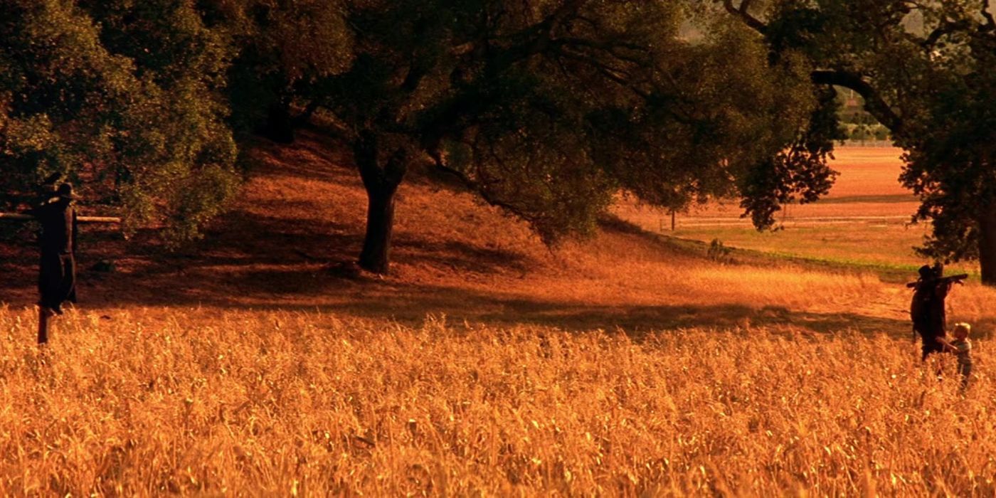 A scarecrow stands at one end of a yellow cornfield and a little boy at the other in Jeepers Creepers 2