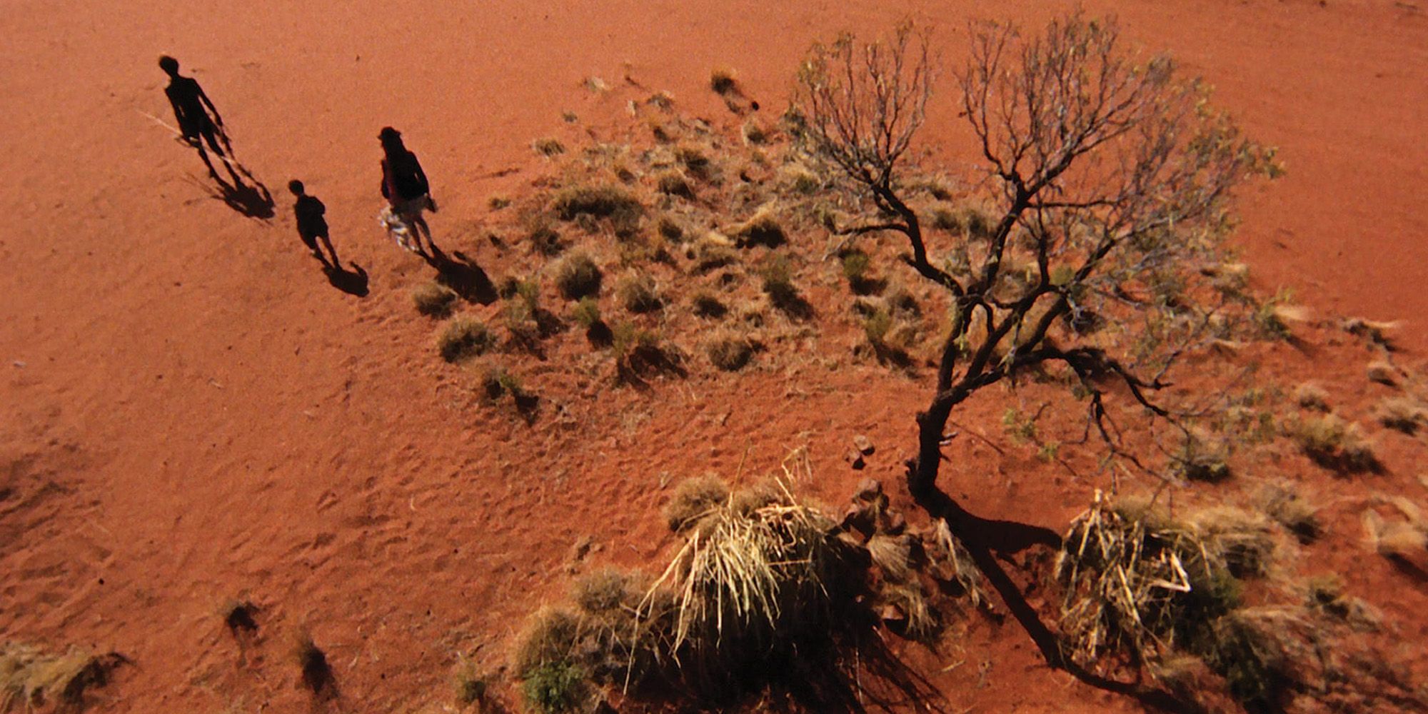 Children walk in the desert in Walkabout