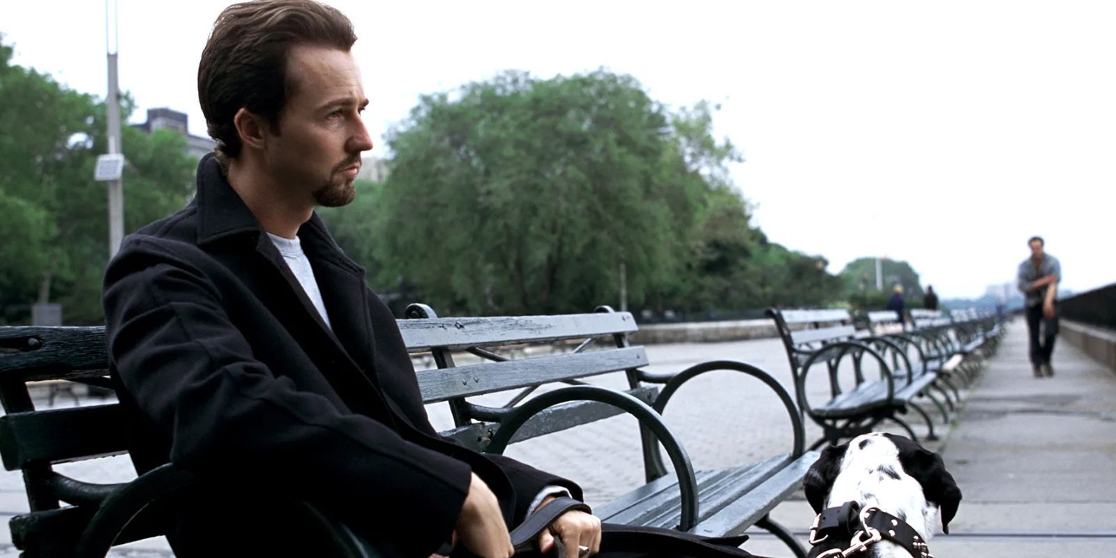 A man sits with his dog on a park bench and looks solemnly into the distance