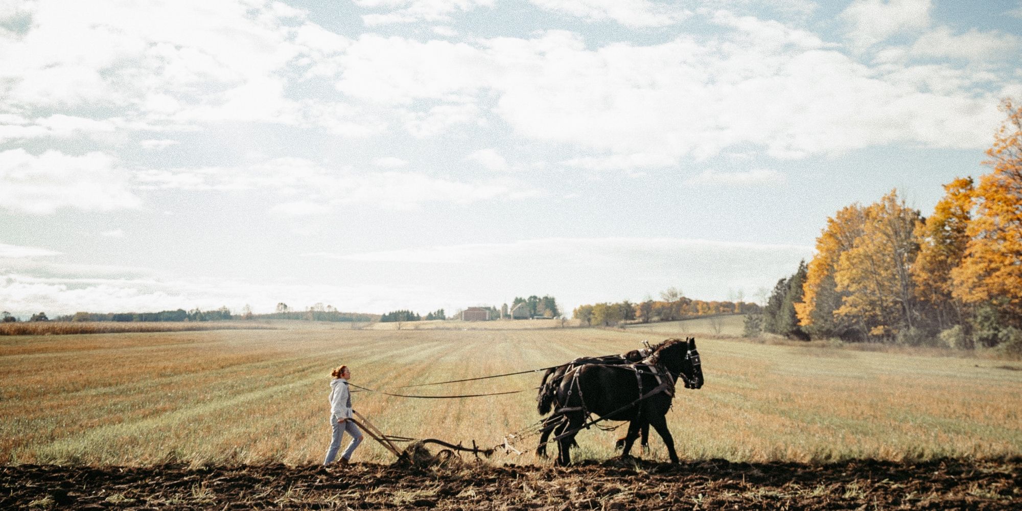 Jenny, played by actor Madison Lawlor, ploughs a field with two horses in Green and Gold.