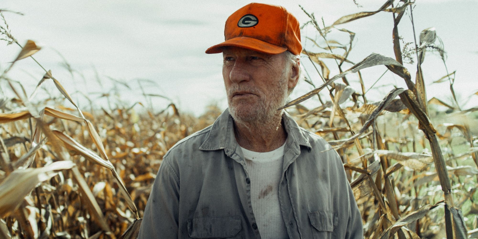 Buck, played by actor Craig T. Nelson, stands in a cornfield in Green and Gold.