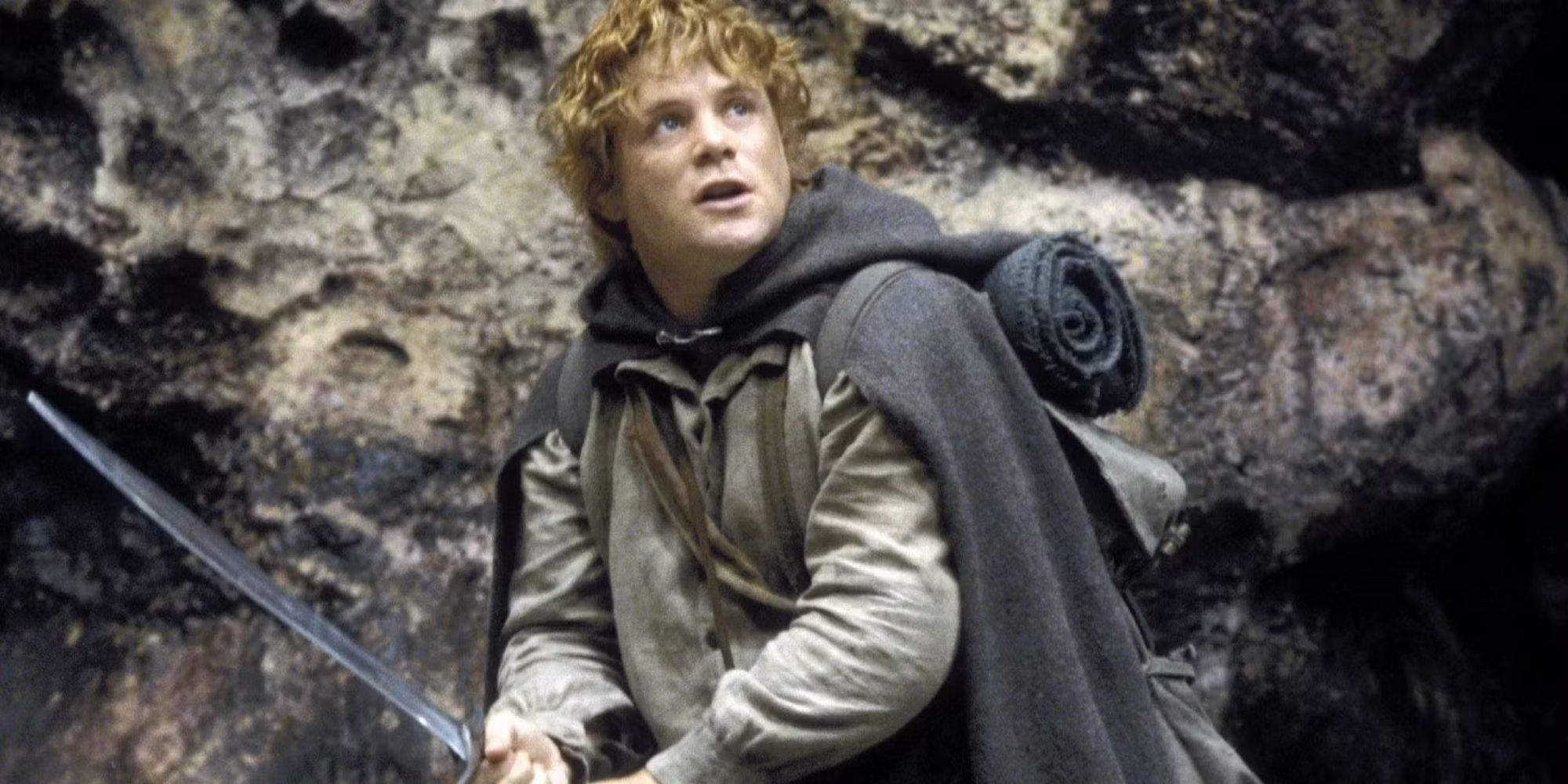 Samwise Gamgee in The Lord of the Rings trilogy