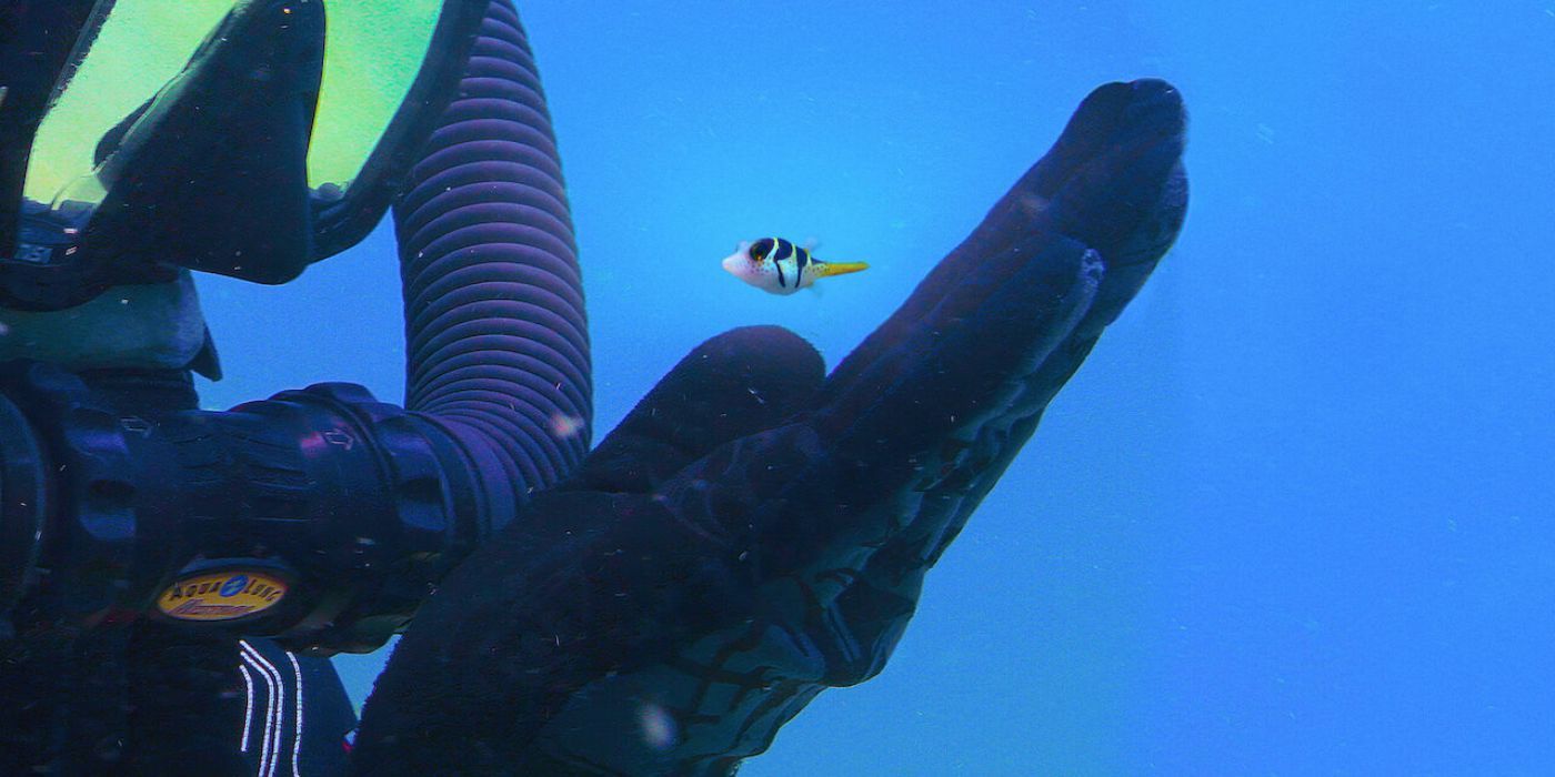 A scuba diver holds out their hand out while a small fish hovers over it in Puff Wonders of the Reef.