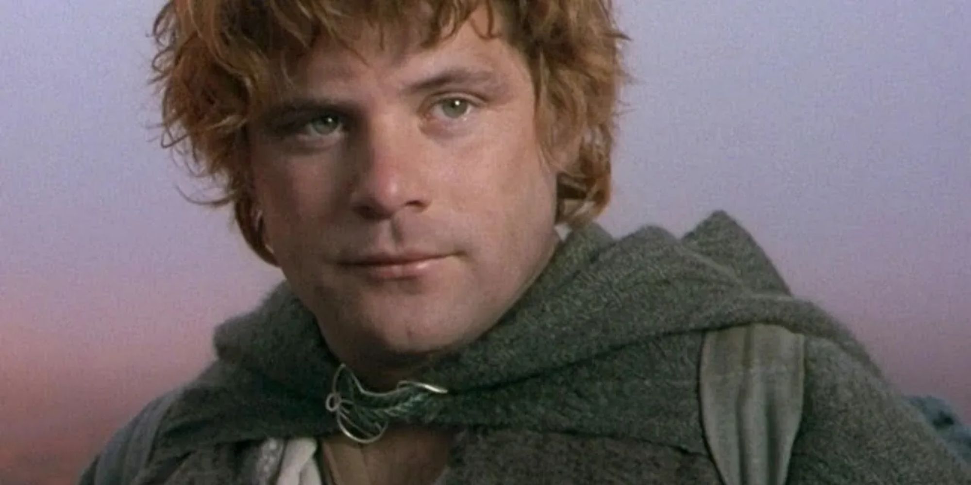 Samwise Gamgee in The Lord of the Rings trilogy