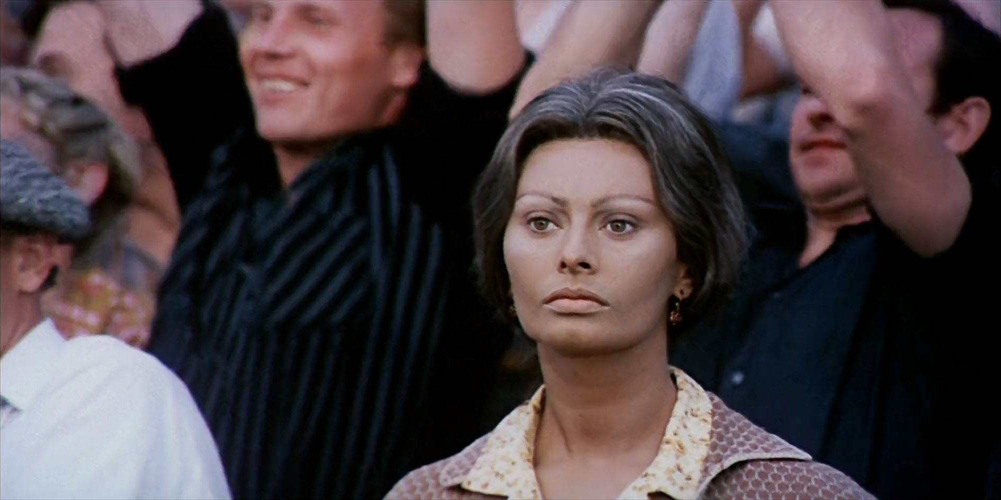 Sophia-Loren looking intently ahead in Sunflower