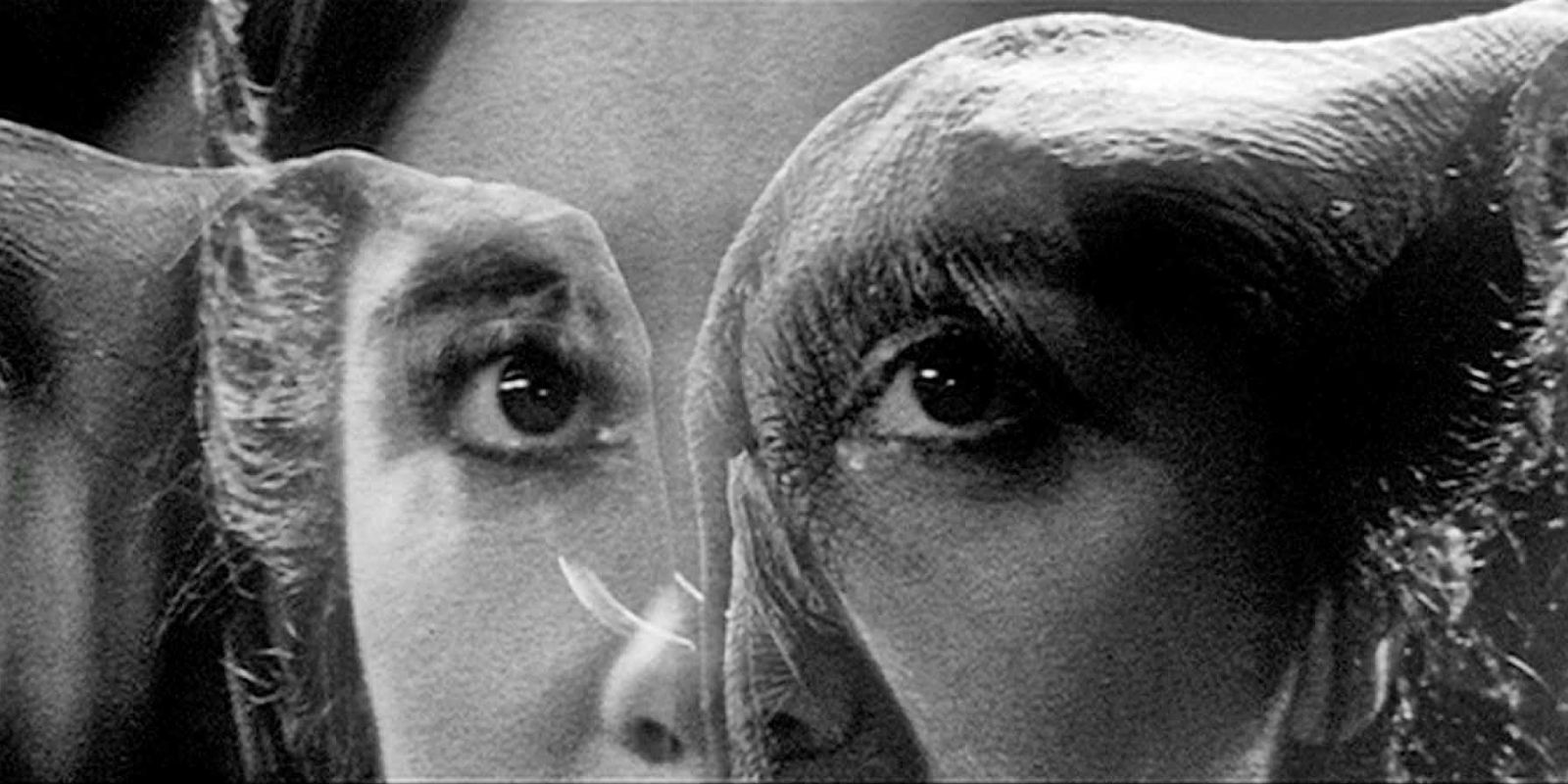 The Elephant Man - 1980 - opening dream