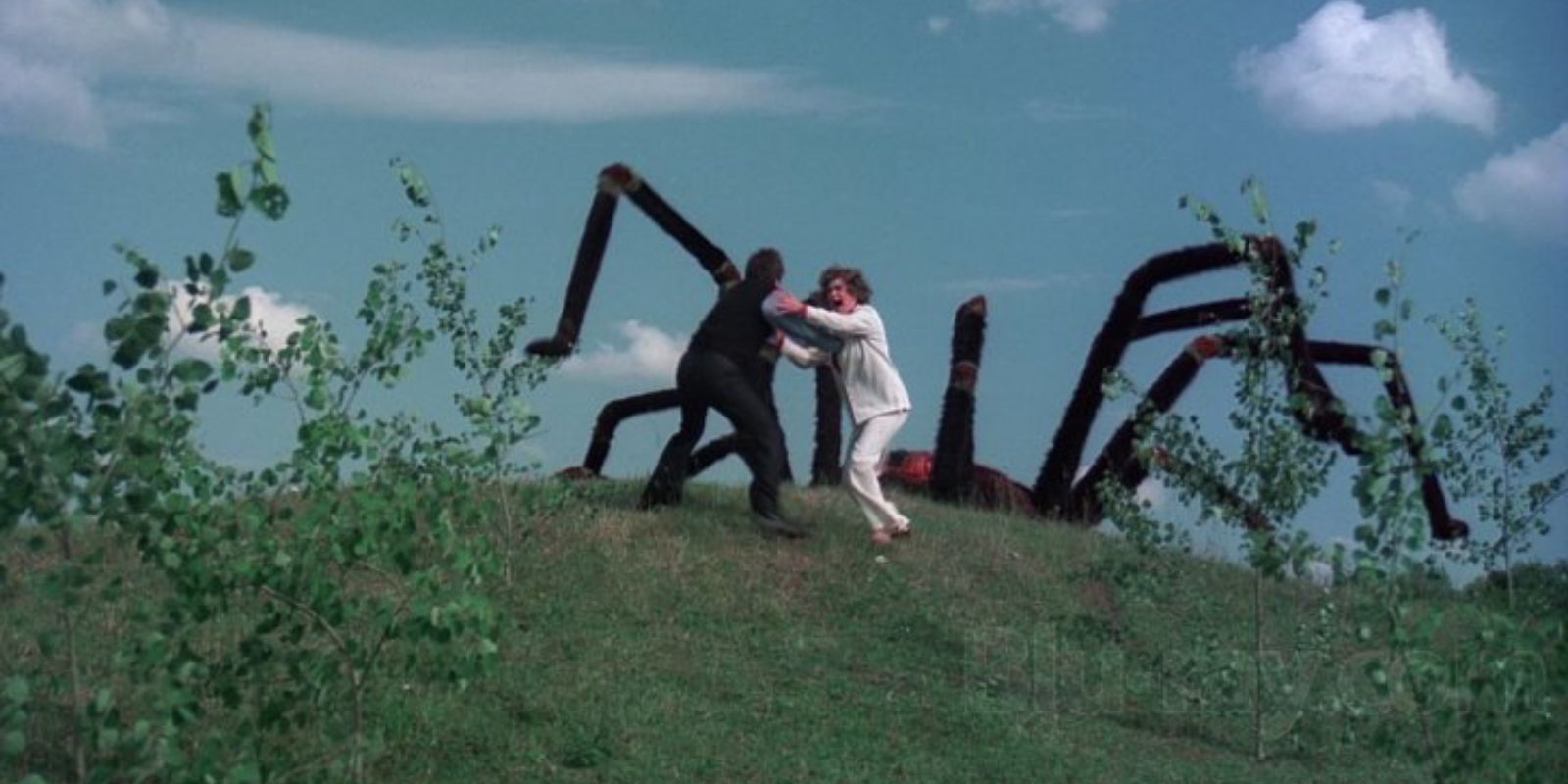 The Giant Spider Invasion - 1975
