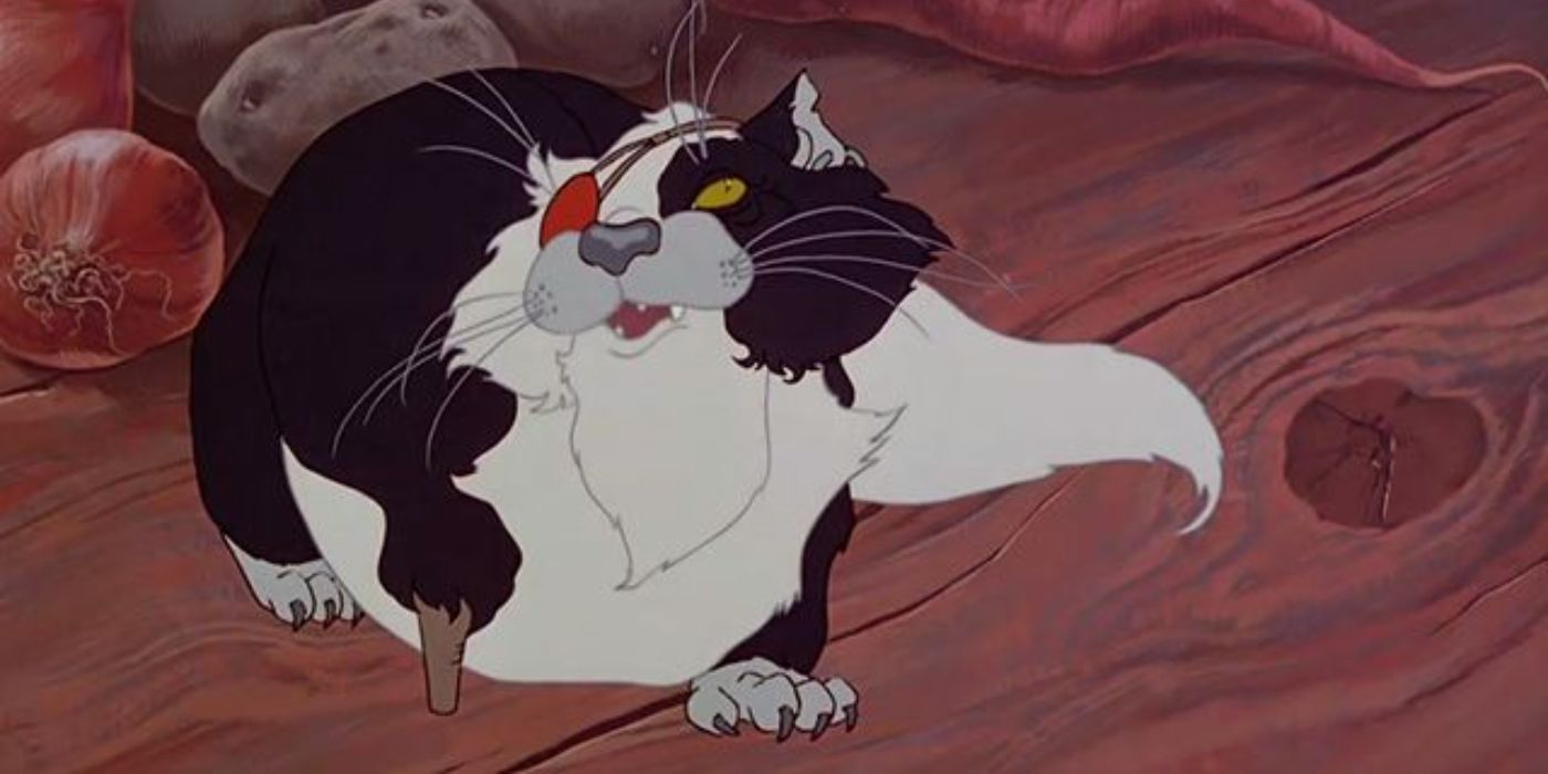 The Cat from The Last Unicorn