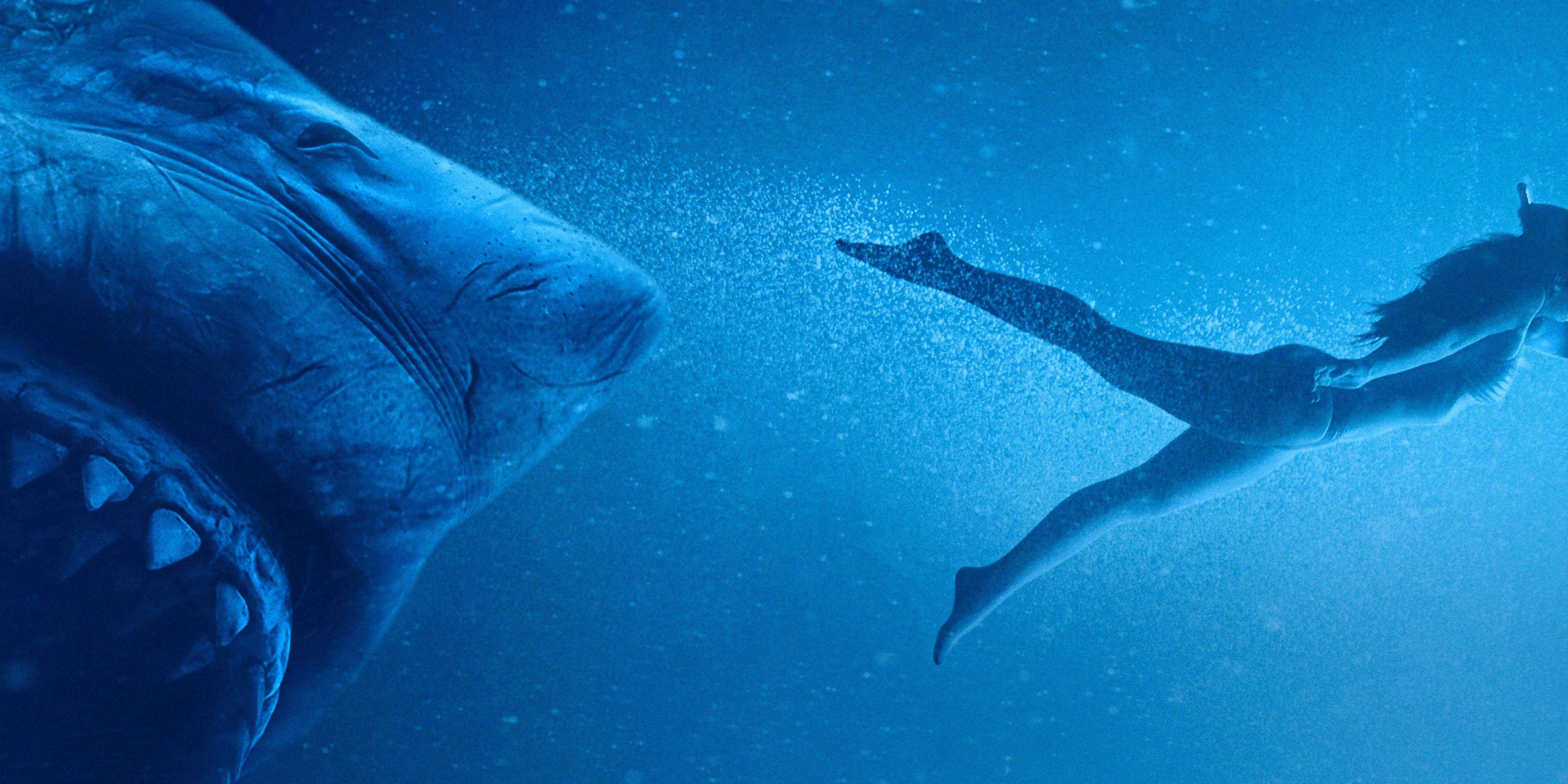 The snout and open jaws of a giant shark following behind the swimming figure of a woman.