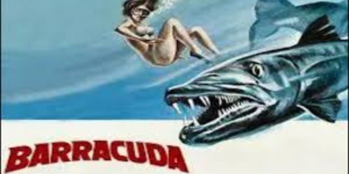Barracuda-1977