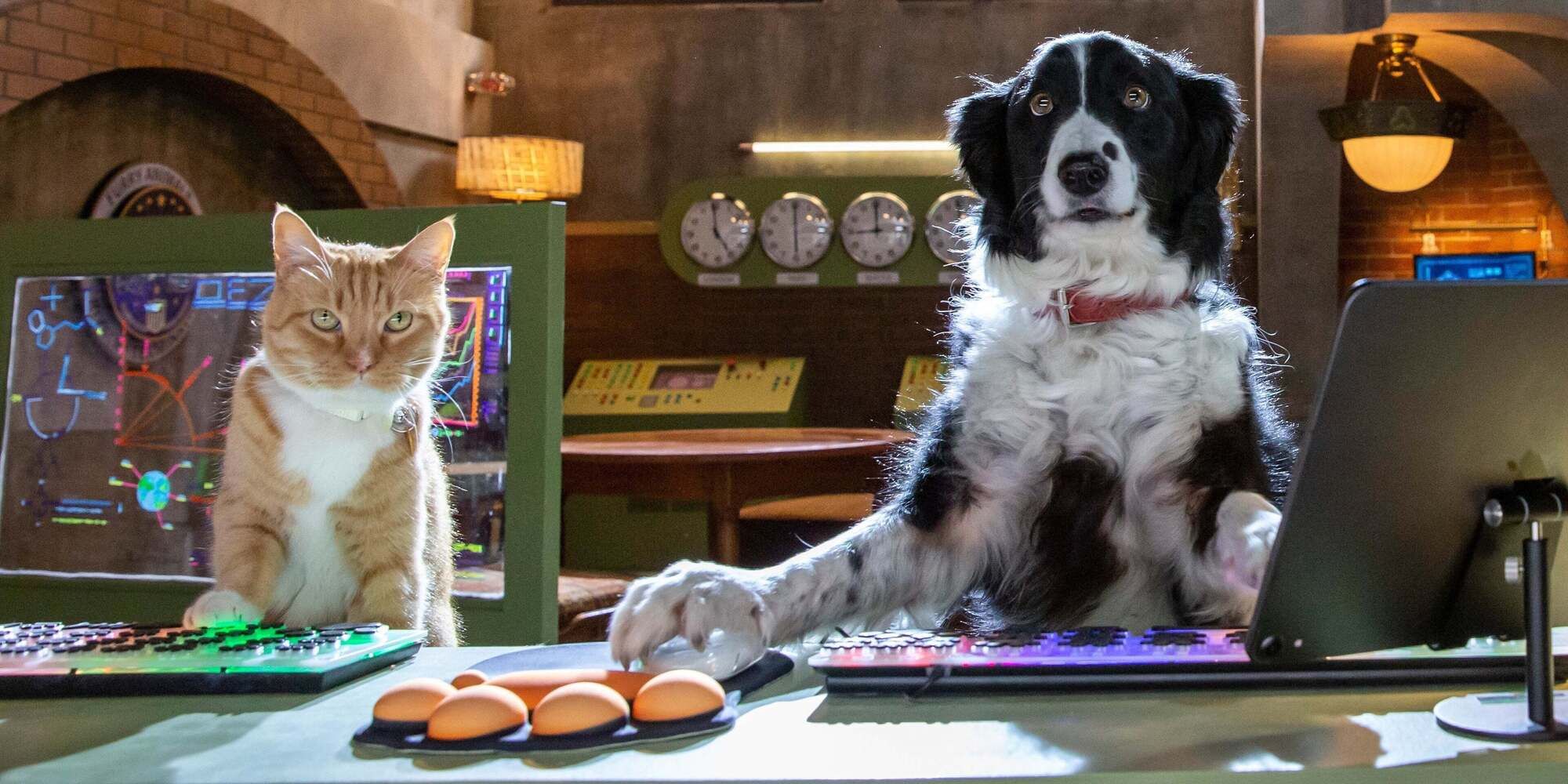 An orange cat and a black and white dog both sitting at a desk and typing on a computer in &lsquo;Cats &amp; Dogs 3: Paws Unite&rsquo; (2020)