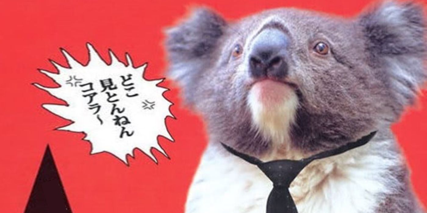 Executive Koala - poster - 2005
