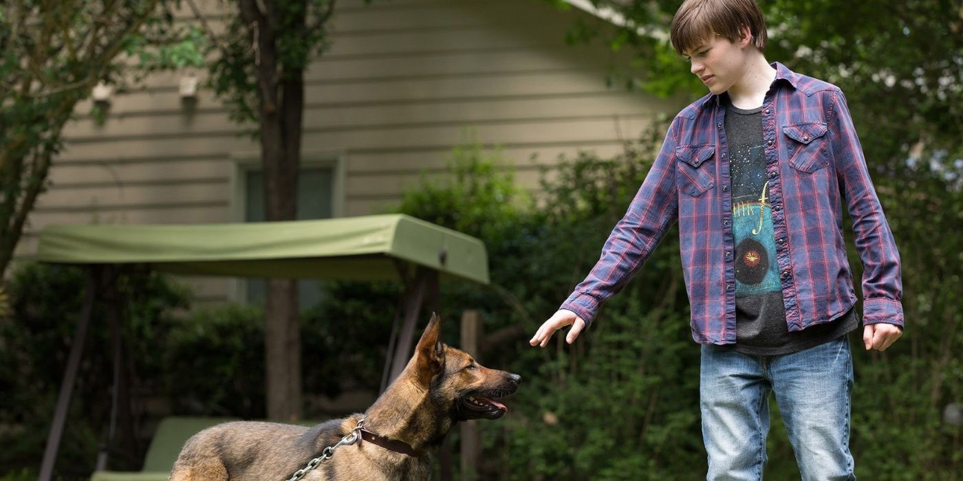 Kid reaching for Max the dog in Max