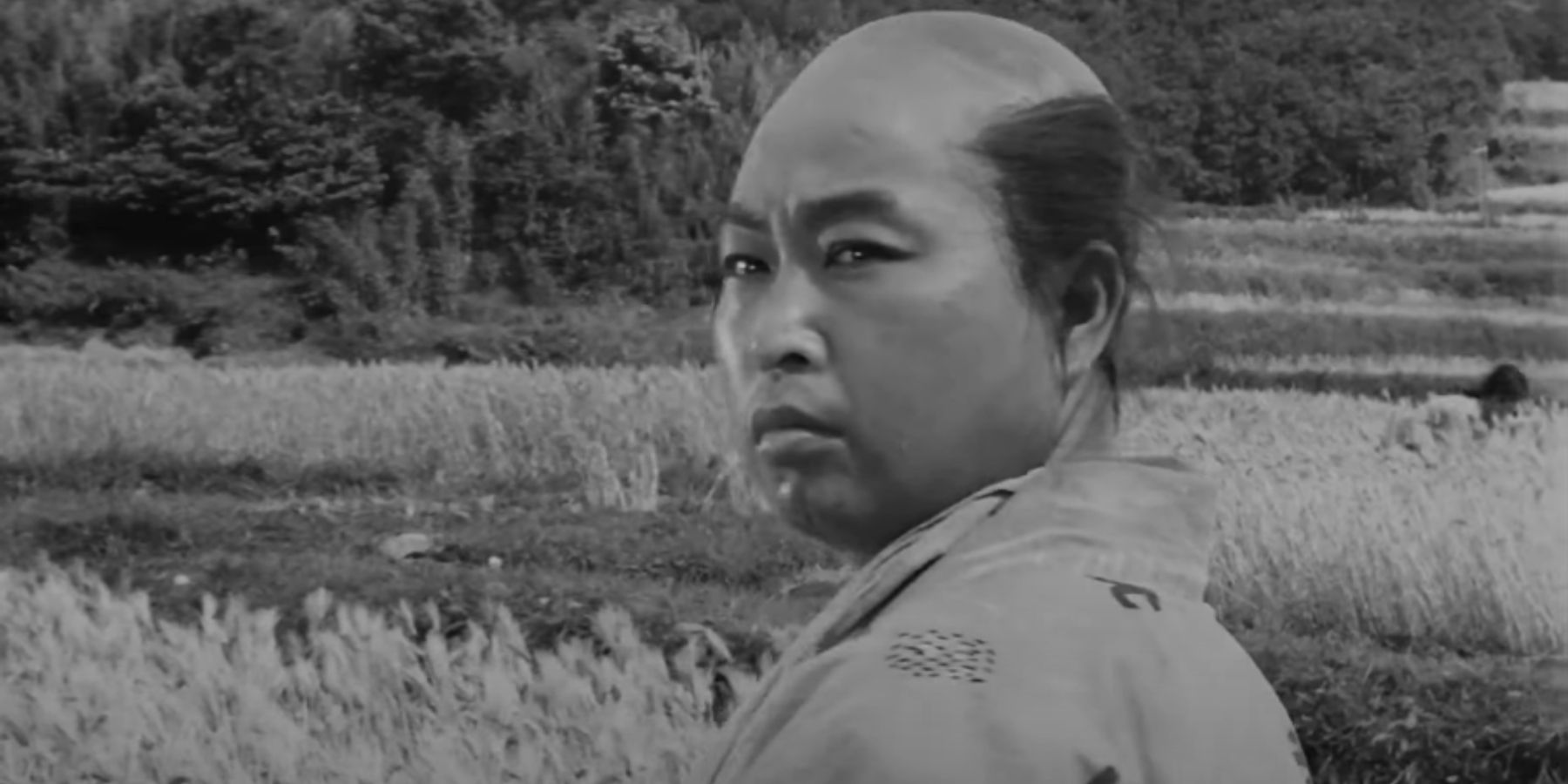 Seven Samurai - 1954 (6)