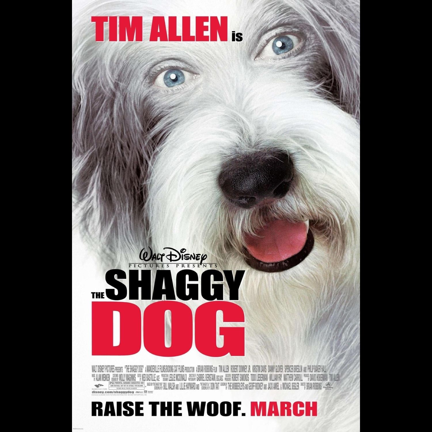 The Shaggy Dog - 2006 - poster