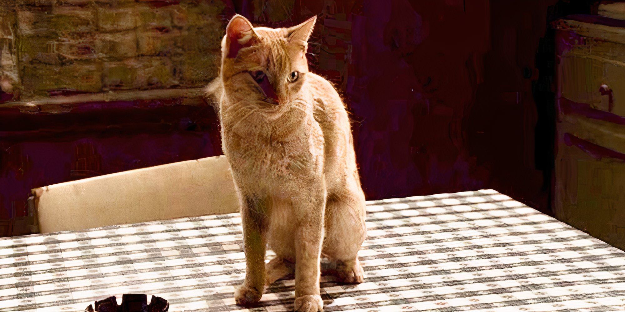 An orange cat sitting on a table in The Sopranos episode Made in America.