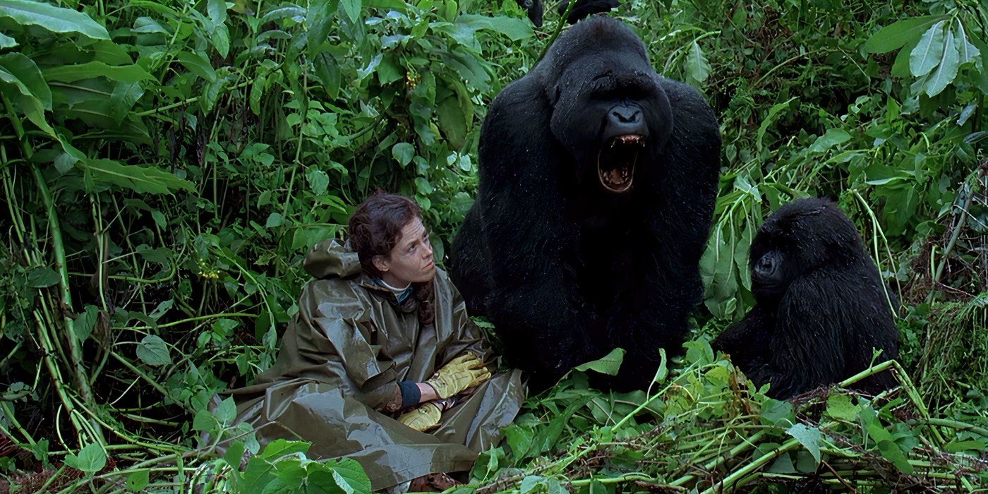 Gorillas in the Mist - 1988 (2)