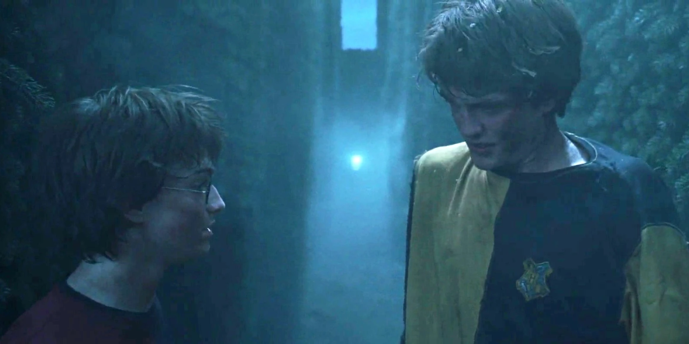 Harry and Cedric inside a maze with the Triwizard Cup glowing behind them in the Harry Potter movie series.