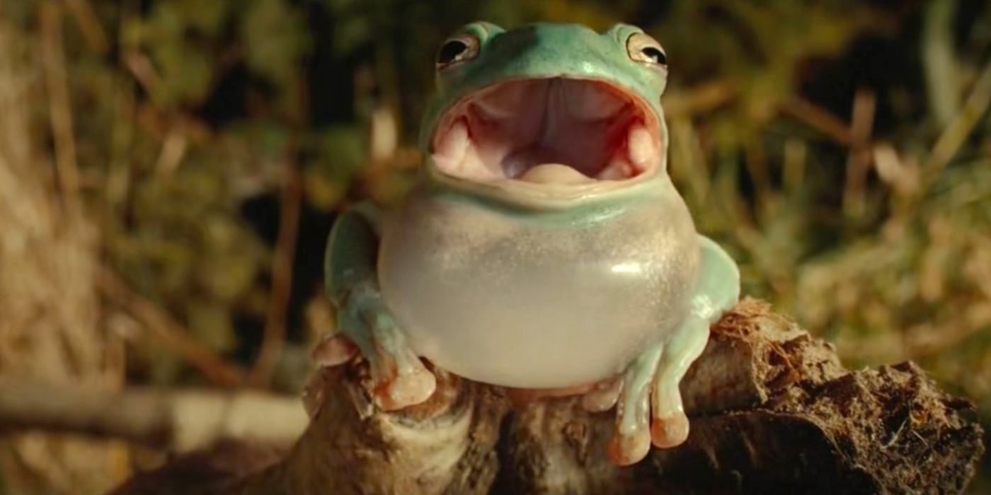 The Arctic Banshee Frog lets out a shriek in the wilderness timeline of Yellowjackets Season 3.