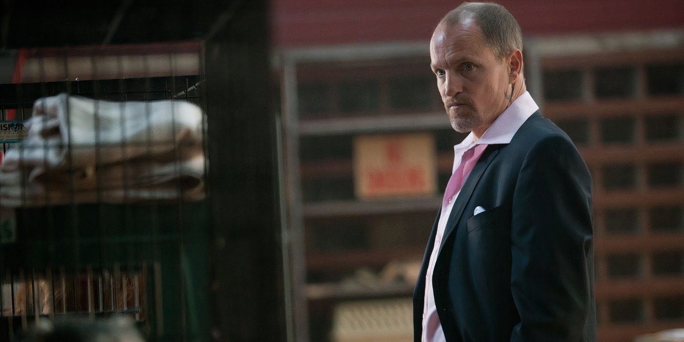 Woody Harrelson as Charlie looking serious and wearing a business suit and tie in Seven Psychopaths.