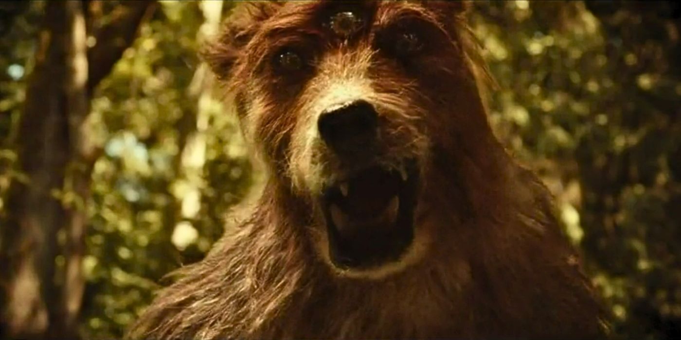 The three-eyed bear from Akilah&rsquo;s vision on Yellowjackets