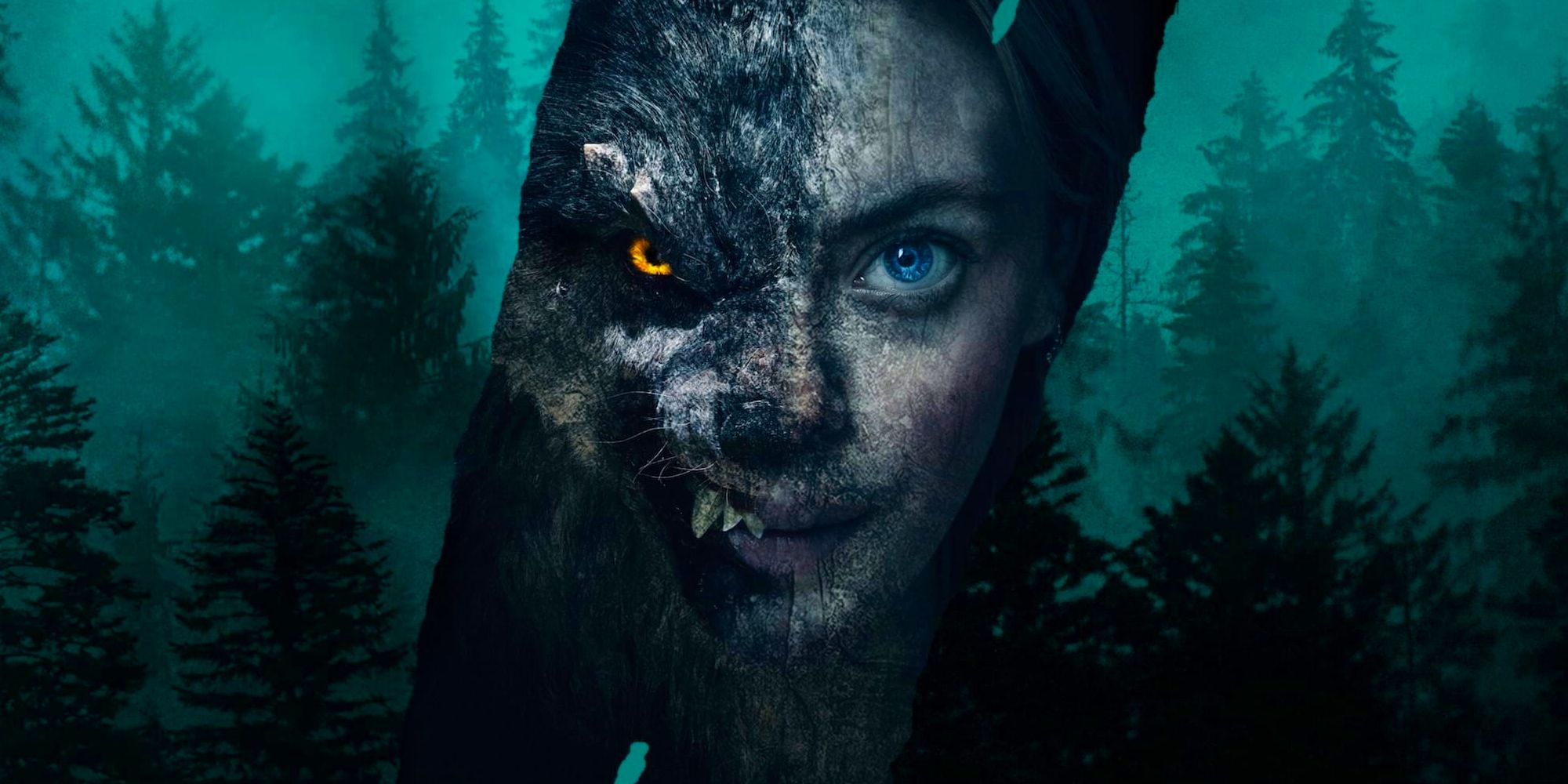 A blue forest is slashed down the middle by a picture of a young woman's face whic is half transformed into that of a wolf.