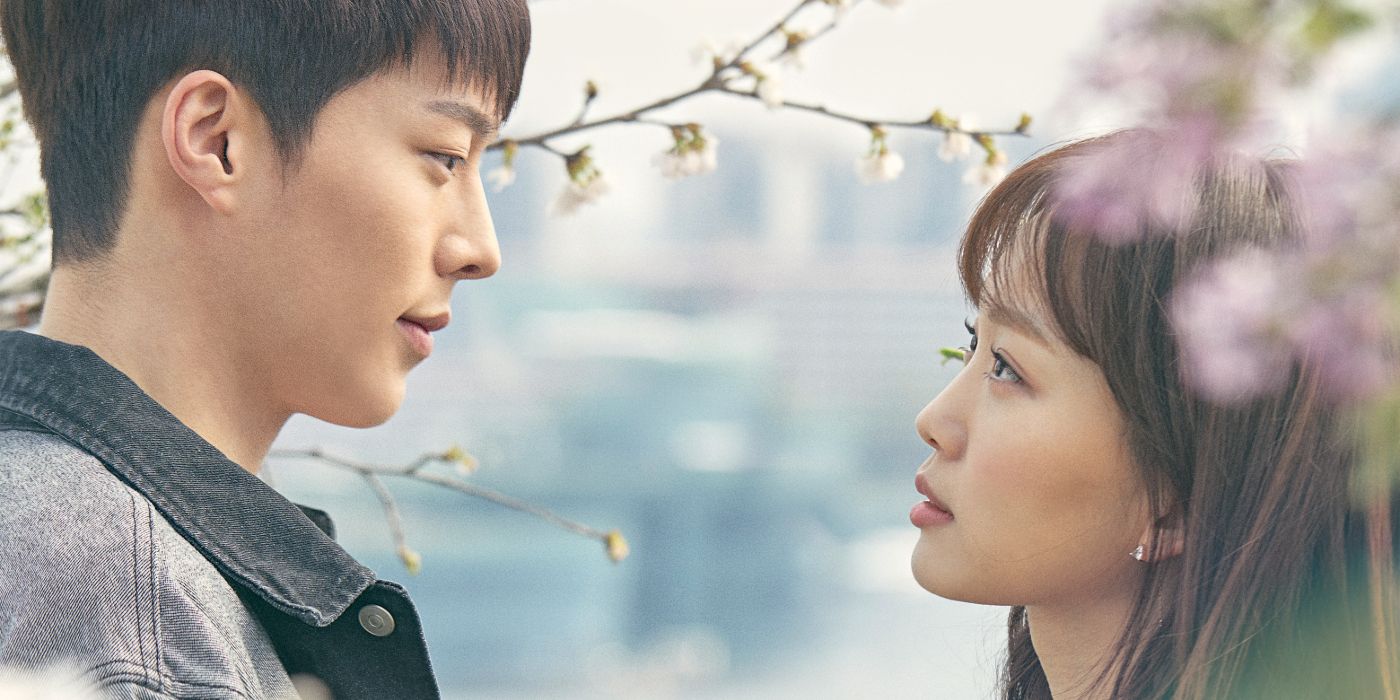 Jang Ki-yong Jin Ki-joo looking at each other among cherry blossoms in Come and Hug Me