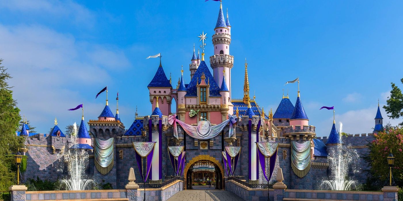 The Disneyland Castle