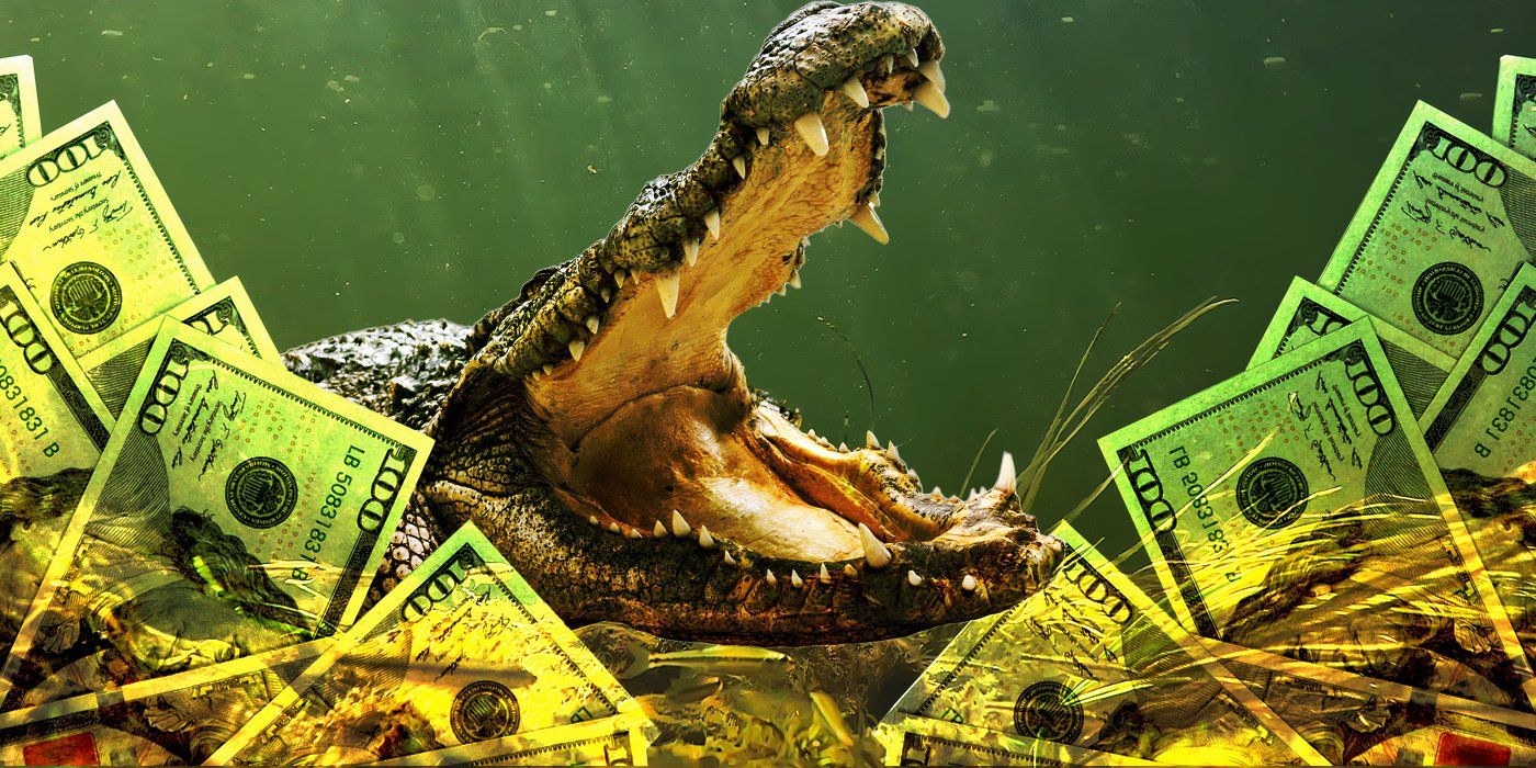 Swamp People' How Much Does It Really Pay to Become a Gator Hunter