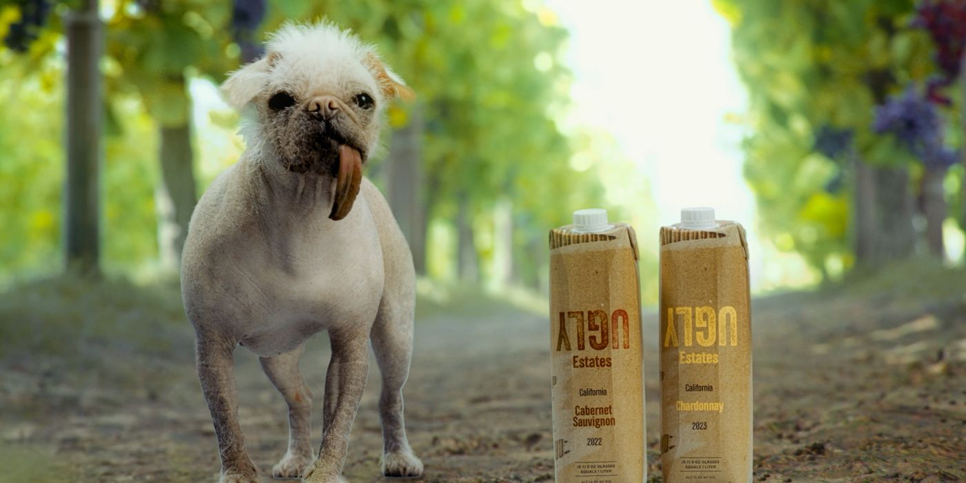 Peggy the Hairless Pug standing next to two Ugly Estates wine bottles