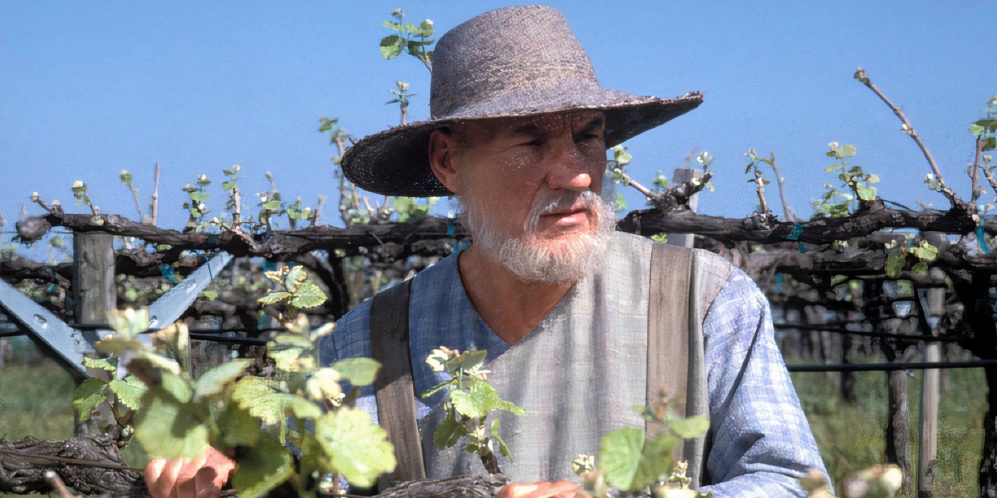 Patrick Stewart in a hat on farm in Star Trek: The New Generation Season 7, Episode 25, "All Good Things".