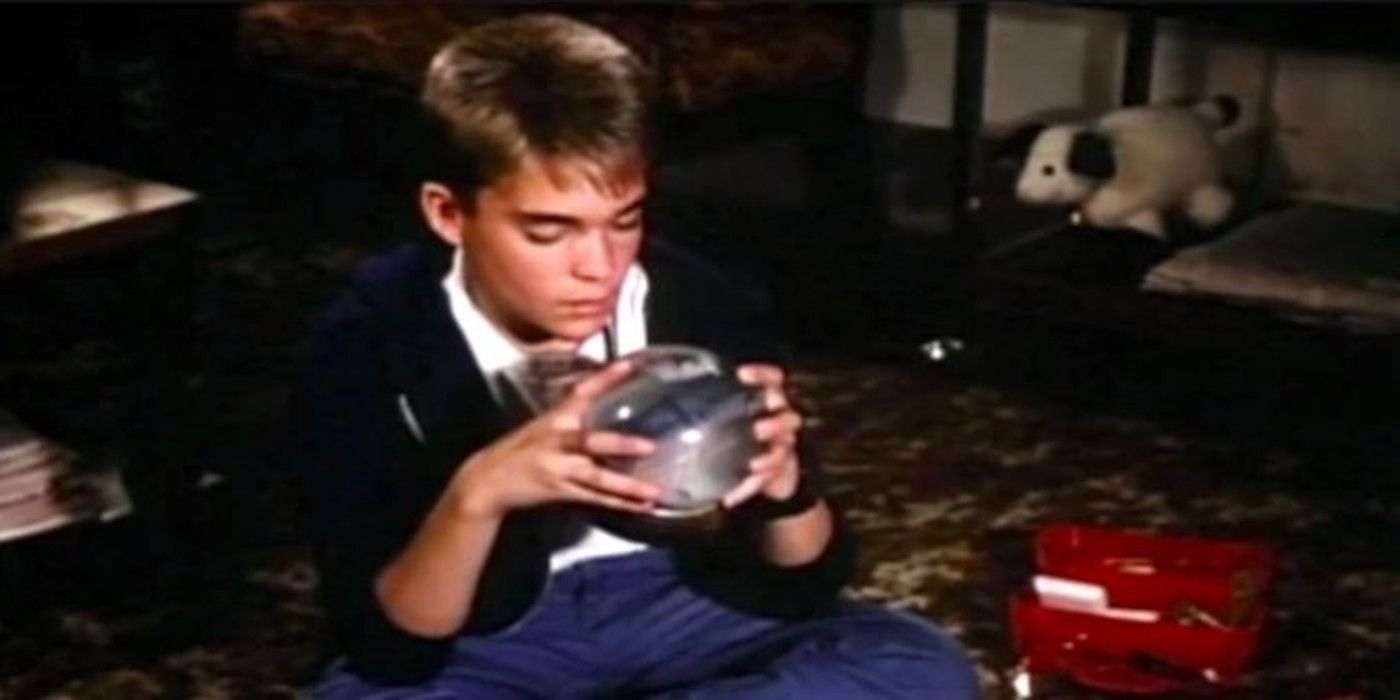 A boy looks into a snow globe in the finale to St. Elsewhere.