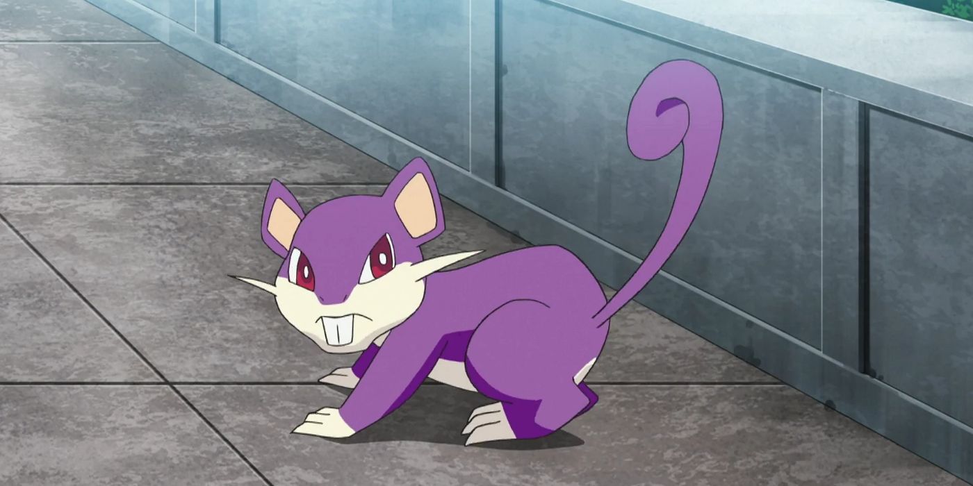 Rattata no Pokemon