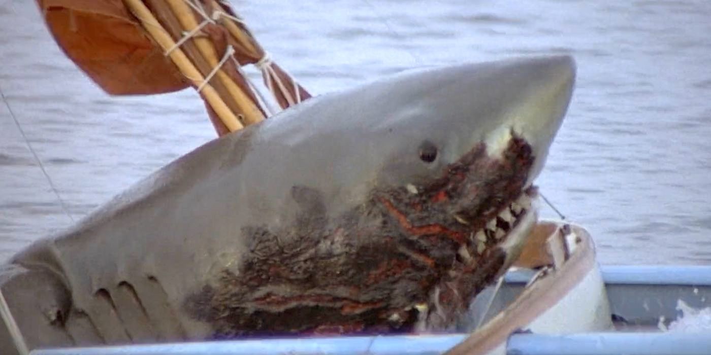 O tubarão queimado ataca um barco em Jaws 2 (1978).