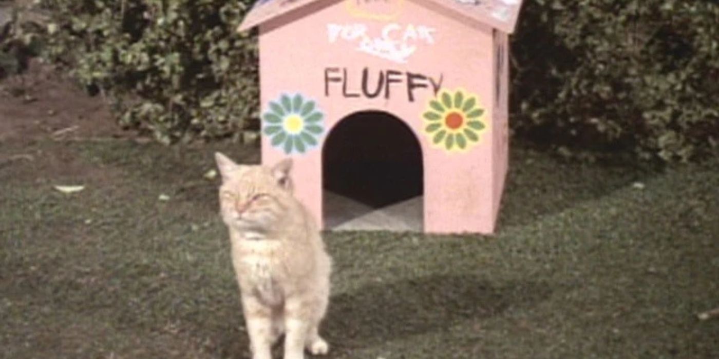 Fluffy the cat in front of her house in the pilot of 'The Brady Bunch.'