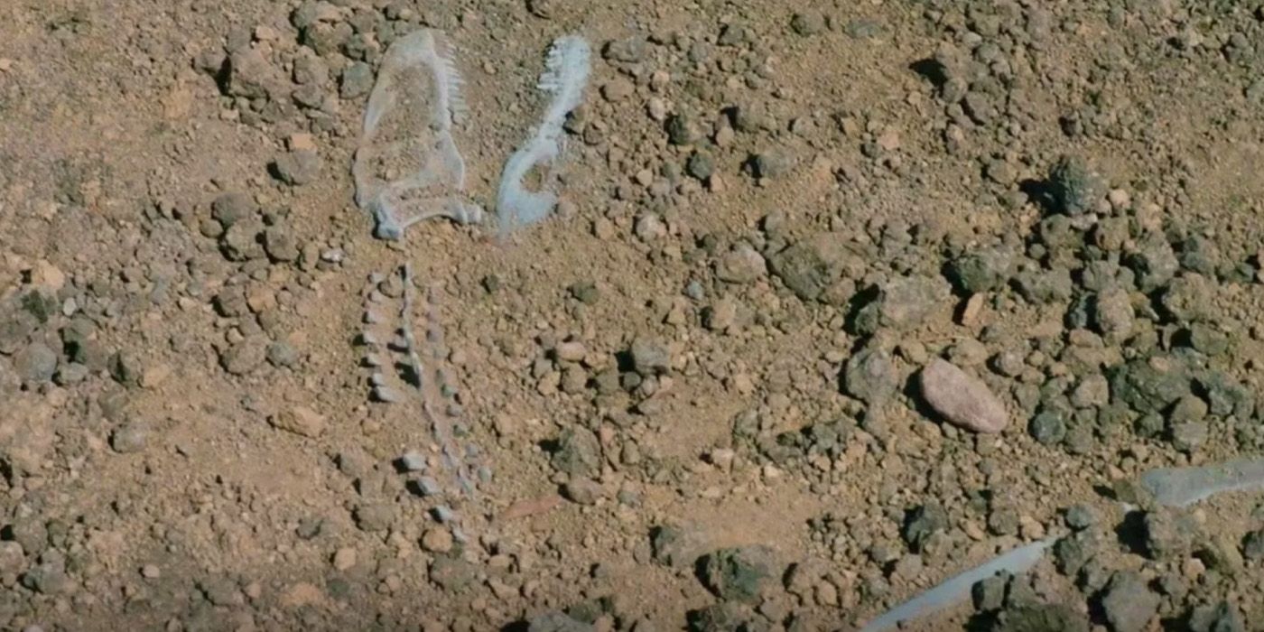 Dinosaur bones uncovered in dirt on 'Yellowstone'