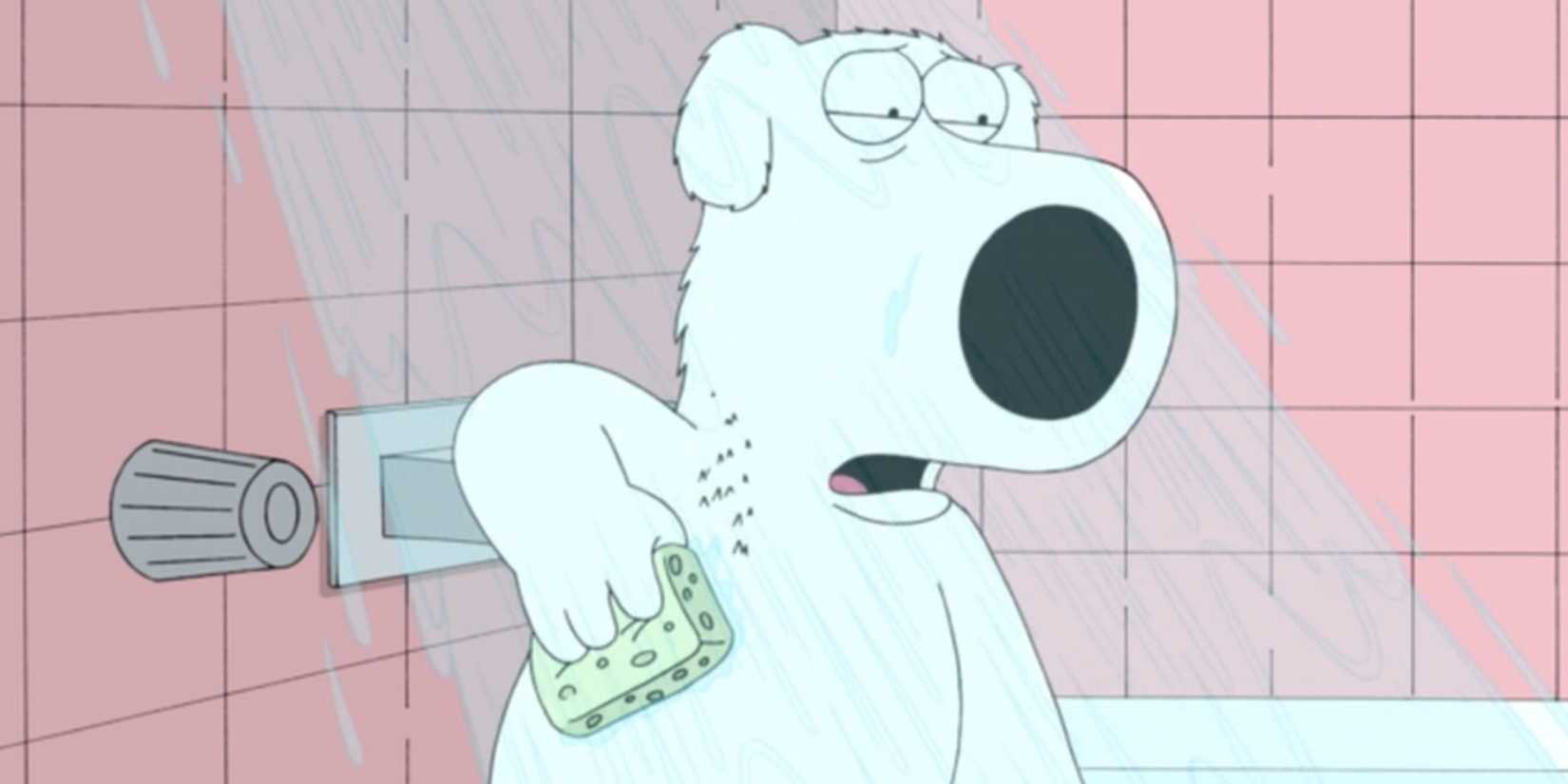 Brian Griffin showers while looking disgusted on 'Family Guy.'