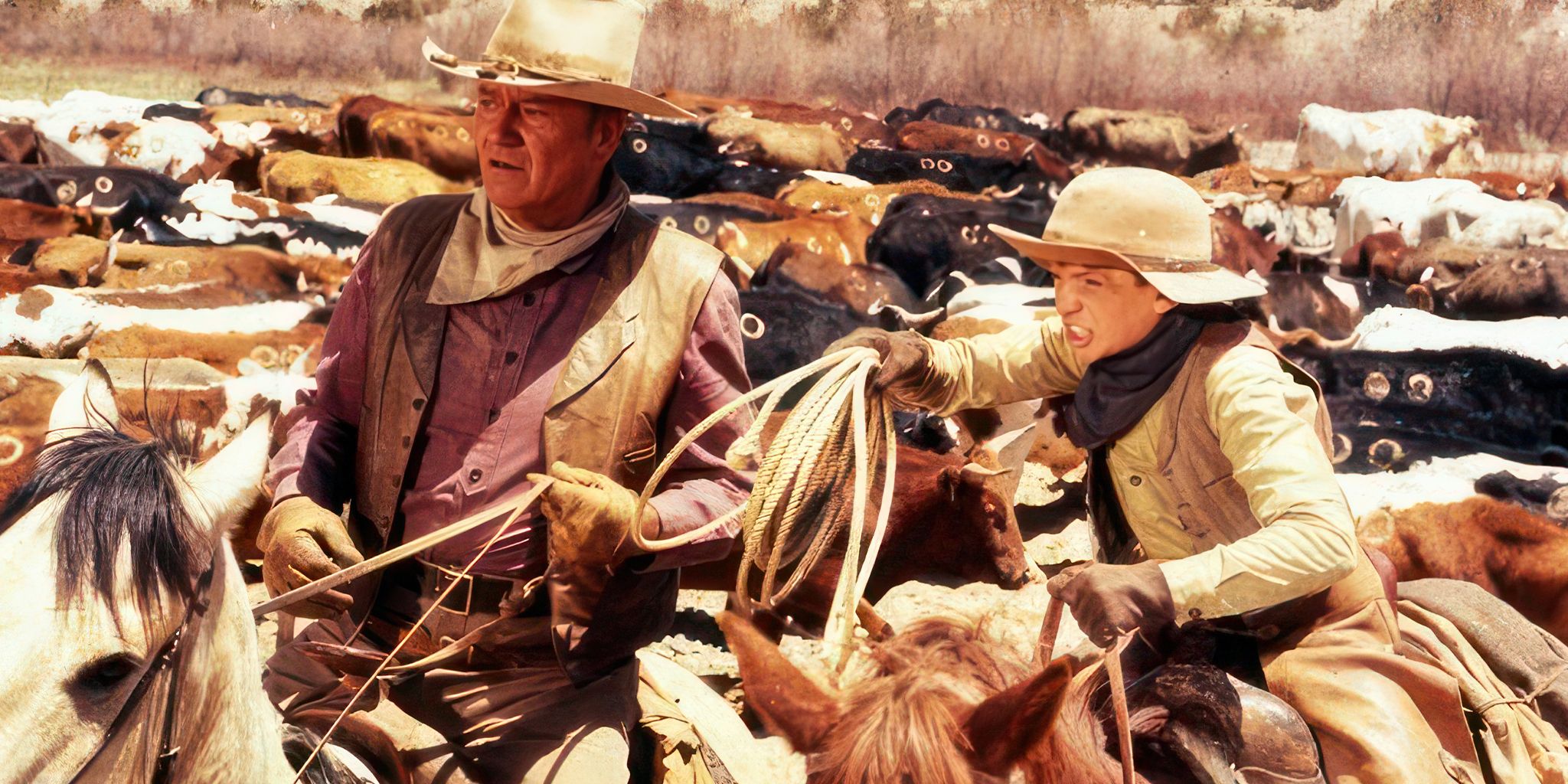 John Wayne's Wil in the middle of a bunch of cattle in The Cowboys