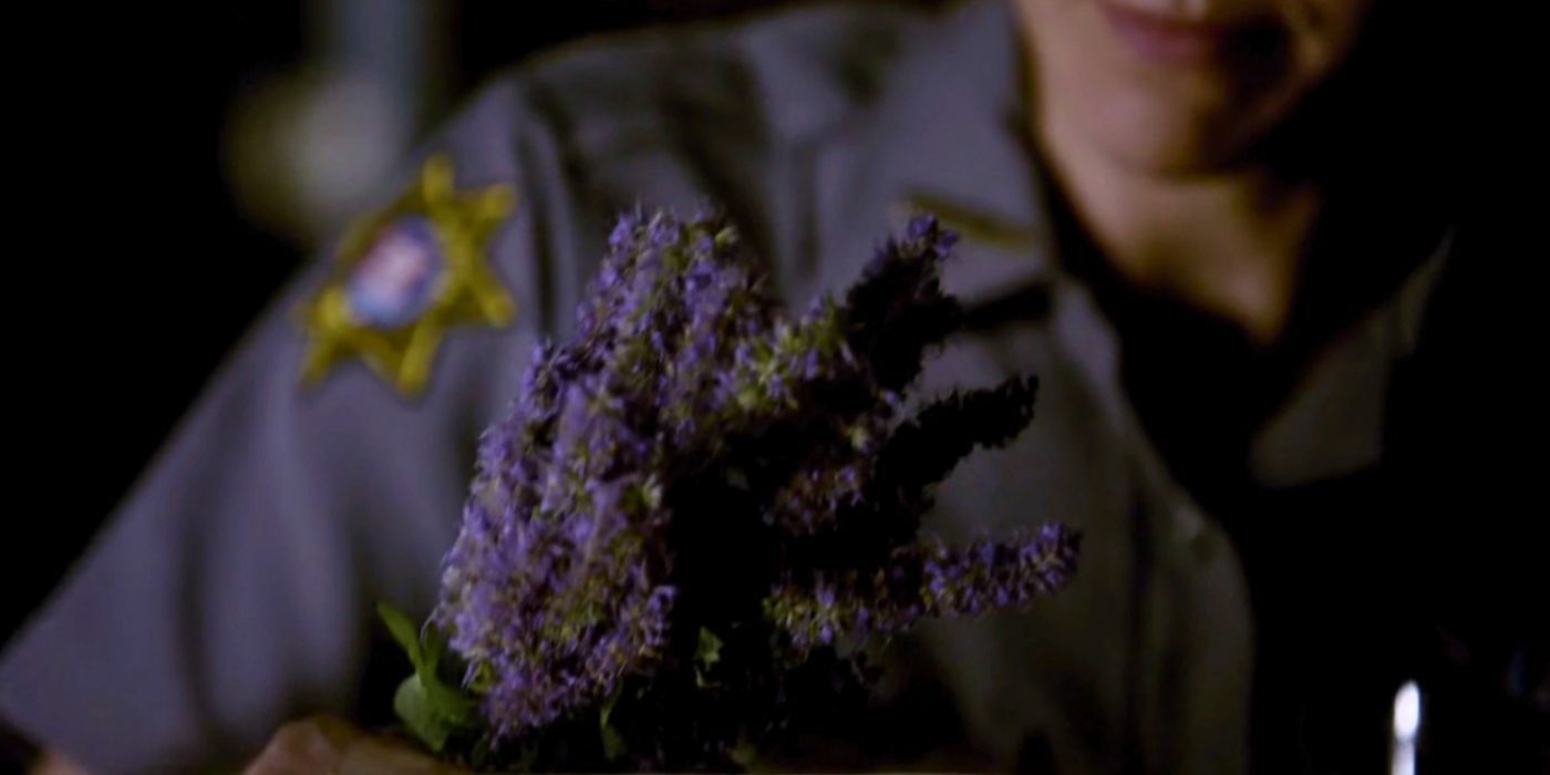 A mysterious man holding a bunch of purple vervain in The Vampire Diaries.