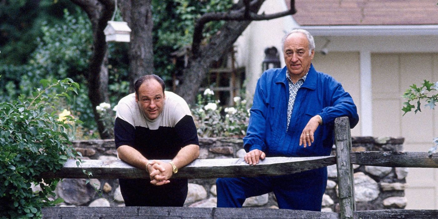 'The Sopranos' and 'The Good Wife' Star Jerry Adler Dead at 96