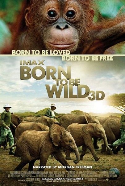born-to-be-wild-poster