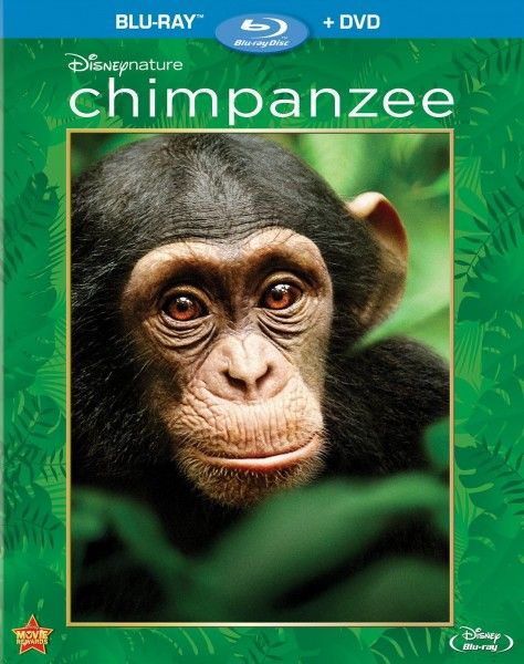 chimpanzee-blu-ray